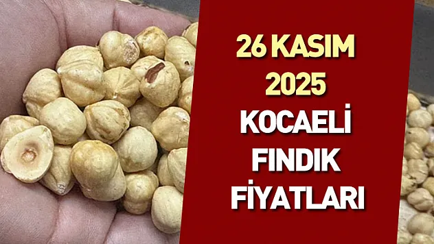 26 Kasım 2025 Kocaeli Fındık Fiyatları : Durağan Ancak Güçlü Görünüm