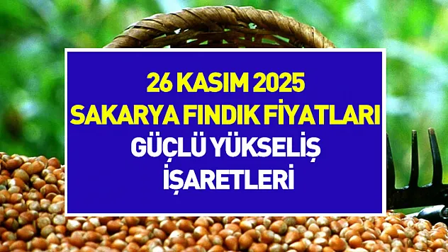 26 Kasım 2025 Sakarya Fındık Fiyatları | Güçlü Yükseliş İşaretleri