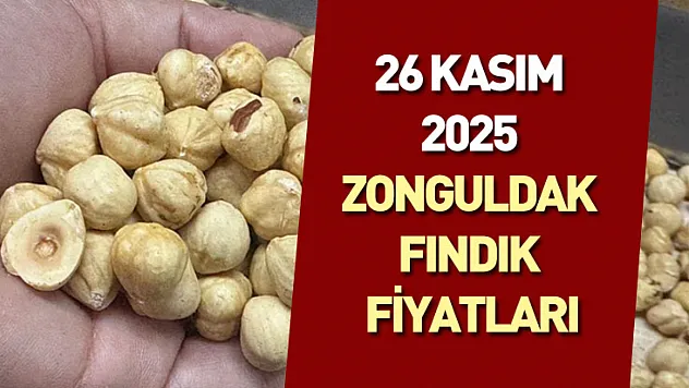 26 Kasım 2025 Zonguldak Fındık Fiyatları | Dar Bantta İstikrarlı Seyir