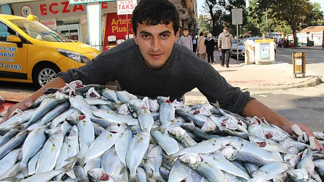 KARADENİZ'DE ÇİNAKOP BEREKETİ