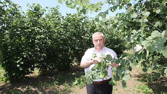  'SOYA'ya can verilmeli'