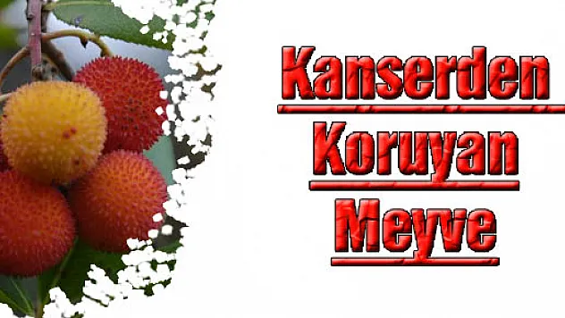 Kanserden Koruyan Meyve
