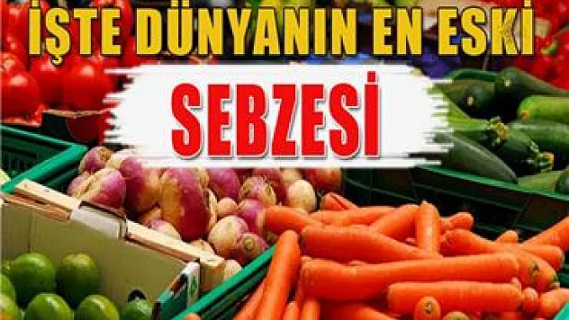 İşte dünyanın en eski sebzesi
