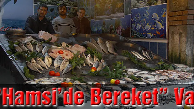 'Hamside Bereket' Var