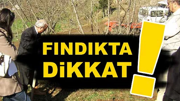 Fındıkta Gübreleme Uyarısı