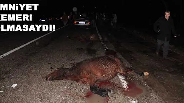 ÇARŞAMBA' DA KAZA: 1 YARALI