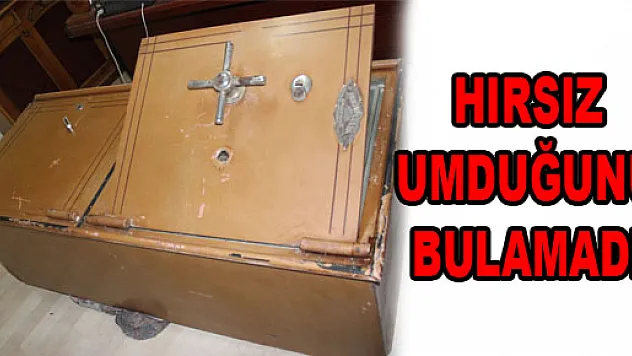 HIRSIZLAR UMDUĞUNU BULAMADI