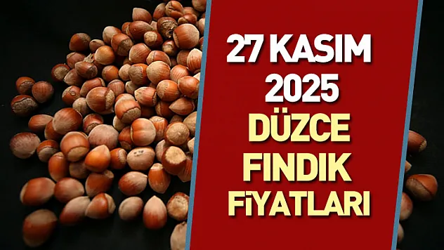 27 Kasım 2025 Düzce Fındık Fiyatları | Üretici Satış İçin Bekle–Gör Stratejisini Sürdürüyor