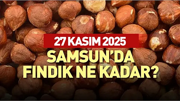 27 Kasım 2025 Samsun Fındık Fiyatları | Piyasada Yukarı Yönlü Beklenti Güçleniyor