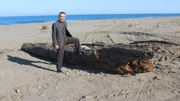 Devasa kütük şaşırttı