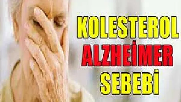 Kolestrol alzheimer sebebi