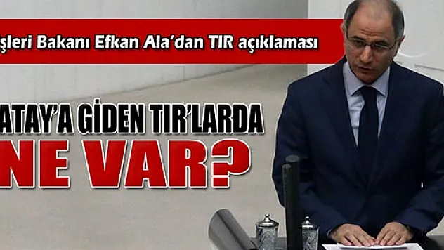 İçişleri Bakanı Efkan Ala'dan TIR açıklaması
