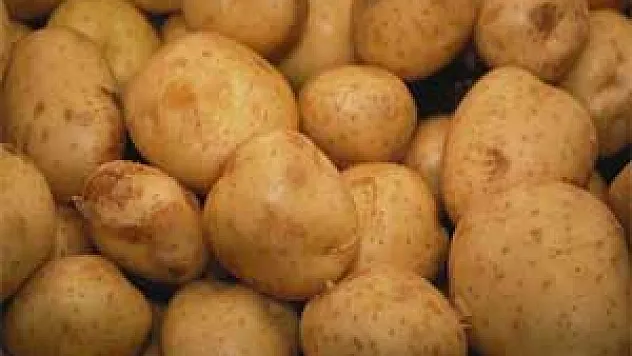 Patatesin Kilosu 5 Liraya Doğru Çıkıyor