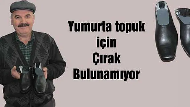 Yumurta topuk için Çırak bulunamıyor