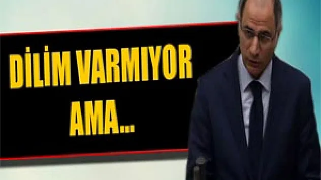 Efkan Ala: Dilim varmıyor ama...