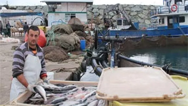 Kültür Balığı Üreticileri Dertli