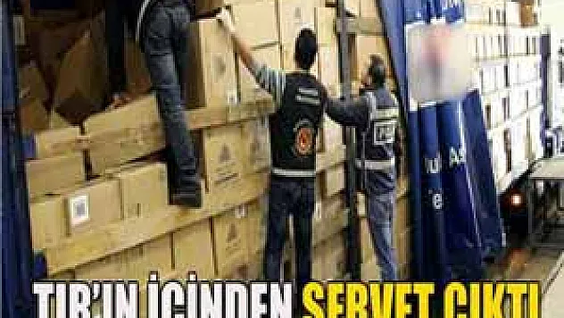 TIR'ın içinden servet çıktı