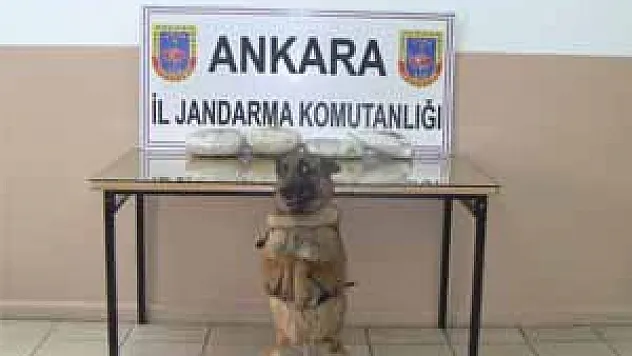 Jandarmadan Uyuşturucu Operasyonu