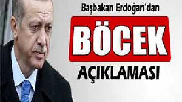Başbakan Erdoğan'dan 'böcek' açıklaması