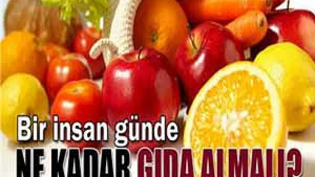 Bir insan günde ne kadar gıda almalı?
