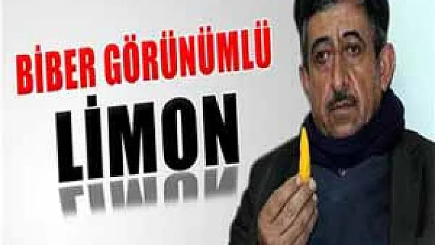 Biber görünümlü limon görenleri şaşırtıyor