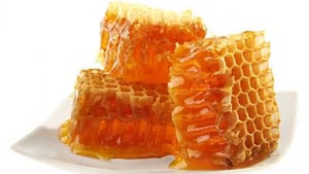 Bakan Eroğlu'ndan bal ormanı müjdesi