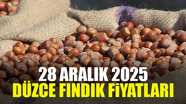 28 Aralık Düzce Fındık Fiyatları Açıklandı