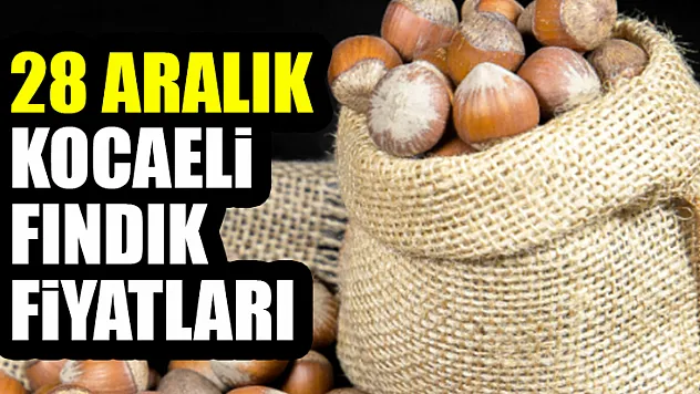 28 Aralık Kocaeli Fındık Fiyatları