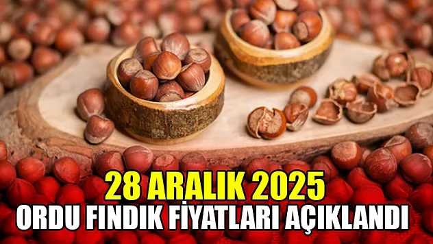28 Aralık Ordu Fındık Fiyatları Açıklandı