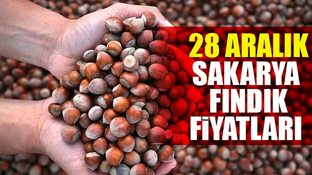 28 Aralık Sakarya Fındık Fiyatları