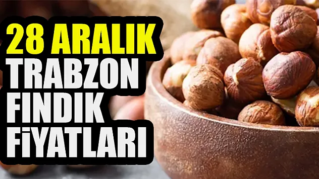 28 Aralık Trabzon Fındık Fiyatları
