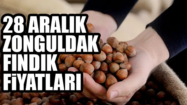 28 Aralık Zonguldak Fındık Fiyatları