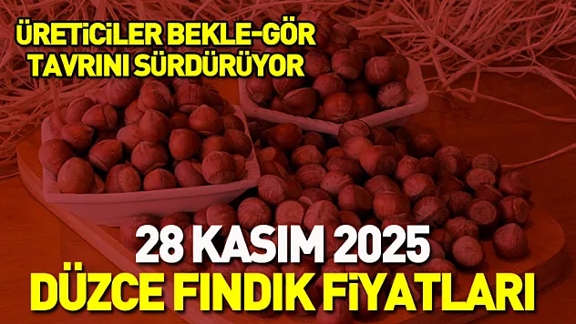 28 Kasım 2025 Düzce Fındık Fiyatları