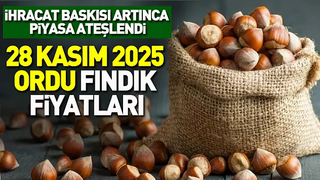 28 Kasım 2025 Ordu Fındık Fiyatları