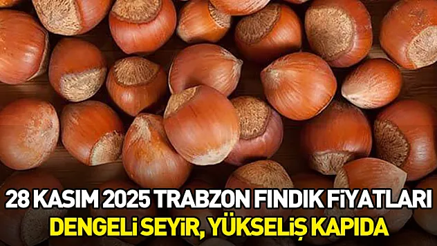 28 Kasım 2025 Trabzon Fındık Fiyatları | Dengeli Seyir, Yükseliş Kapıda