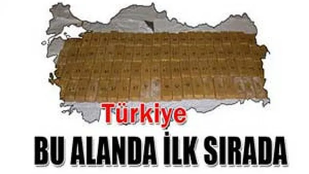 Türkiye bu alanda ilk sırada