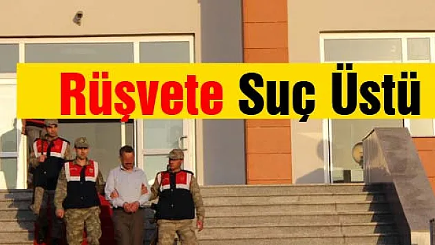 Rüşvete suçüstü