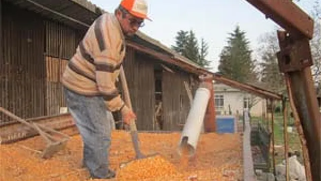  'Karadeniz Yıldızı' Ve 'Samada 07' Rağbet Görüyor