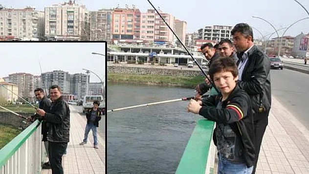 Amatör Balıkçılar Oltalarını Yeşilırmak'a atıyor…