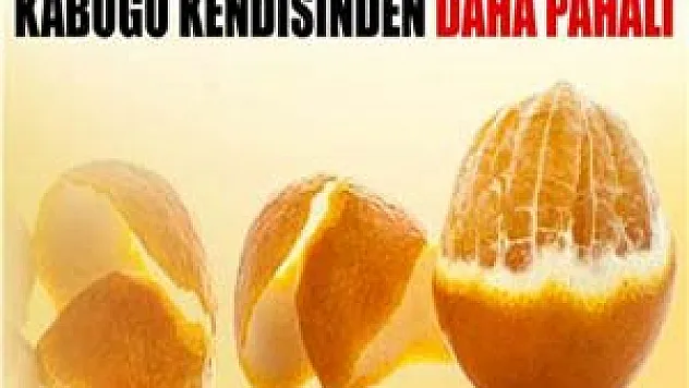Kabuğu kendisinden daha pahalı 