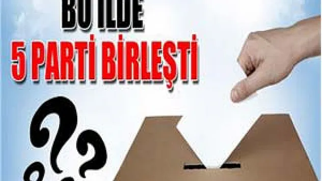Bitlis'te partiler birleşme kararı aldı