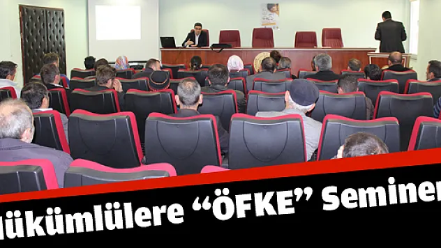 DENETİMLİ SERBESTLİK'TEN 'ÖFKE' KONFERANSI