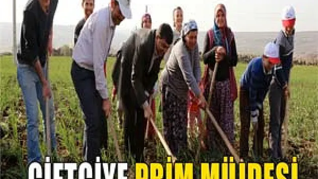 Çiftçiye 77 milyon liralık prim müjdesi