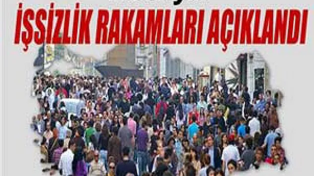 2013 yılı işsizlik rakamları açıklandı