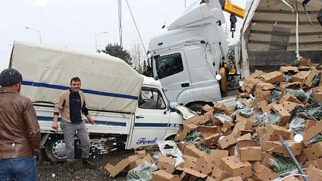 Kaza yapan TIR' da ki sebzeler kaldırıma savruldu