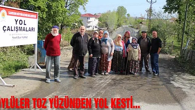 KÖYLÜLER TOZ YÜZÜNDEN YOL KESTİ...