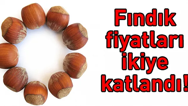 Fındık fiyatları ikiye katlandı!