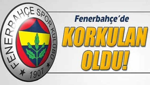 PFDK'dan Fenerbahçe'ye ceza