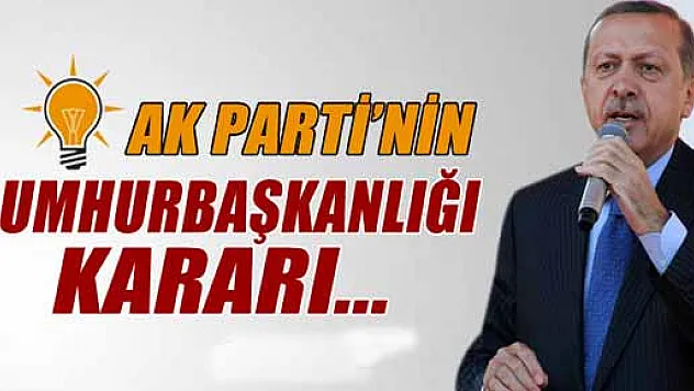 Başbakan Erdoğan: 'Partimiz bir karara varmış değil'