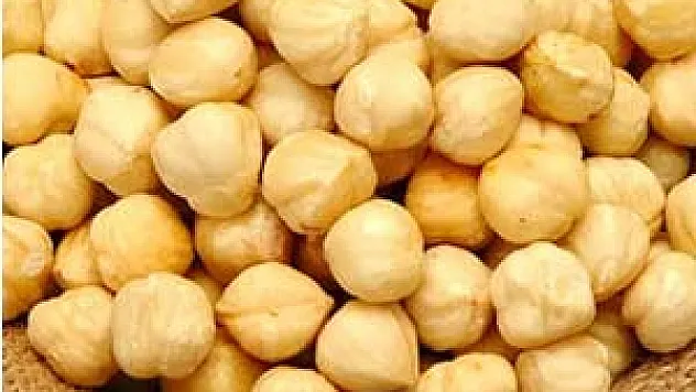 Ordu Ve Giresun'dan Fındıkta 'Afet'e 7 Maddelik Talep